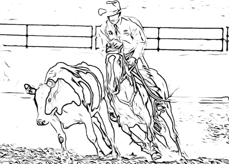 Colouring In Pages - Australian Campdraft Association