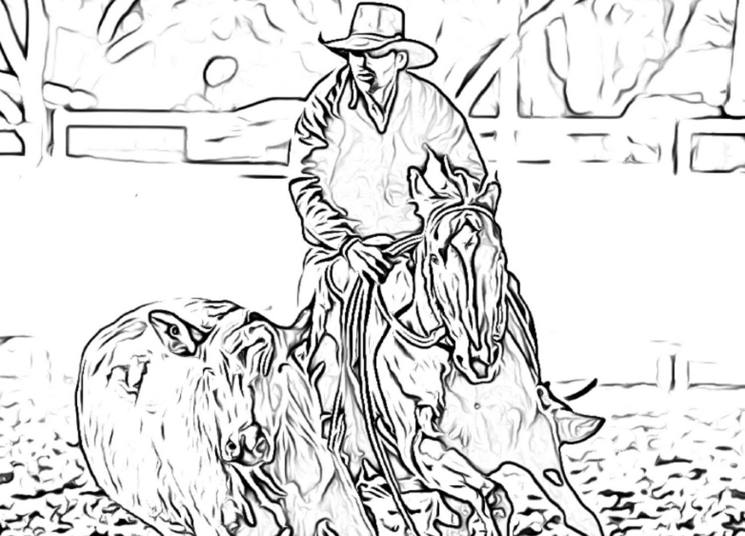 Colouring In Pages - Australian Campdraft Association