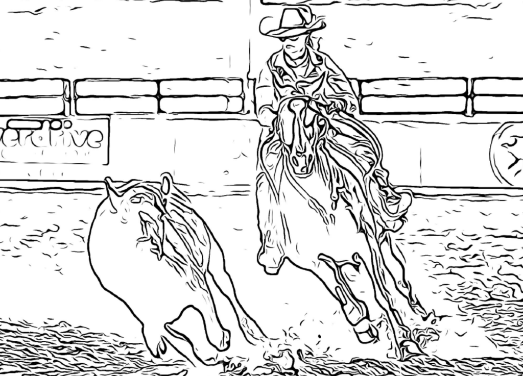 Colouring In Pages - Australian Campdraft Association