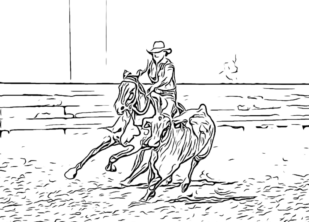 Colouring In Pages - Australian Campdraft Association