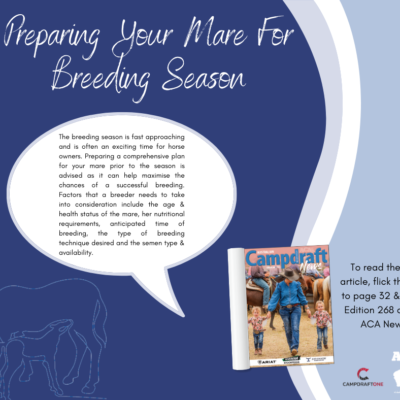 🐴 Preparing Your Mare For Breeding Season